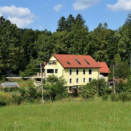 Apartmaji Maln ドレーニスケ・トプリーツェ エクステリア 写真
