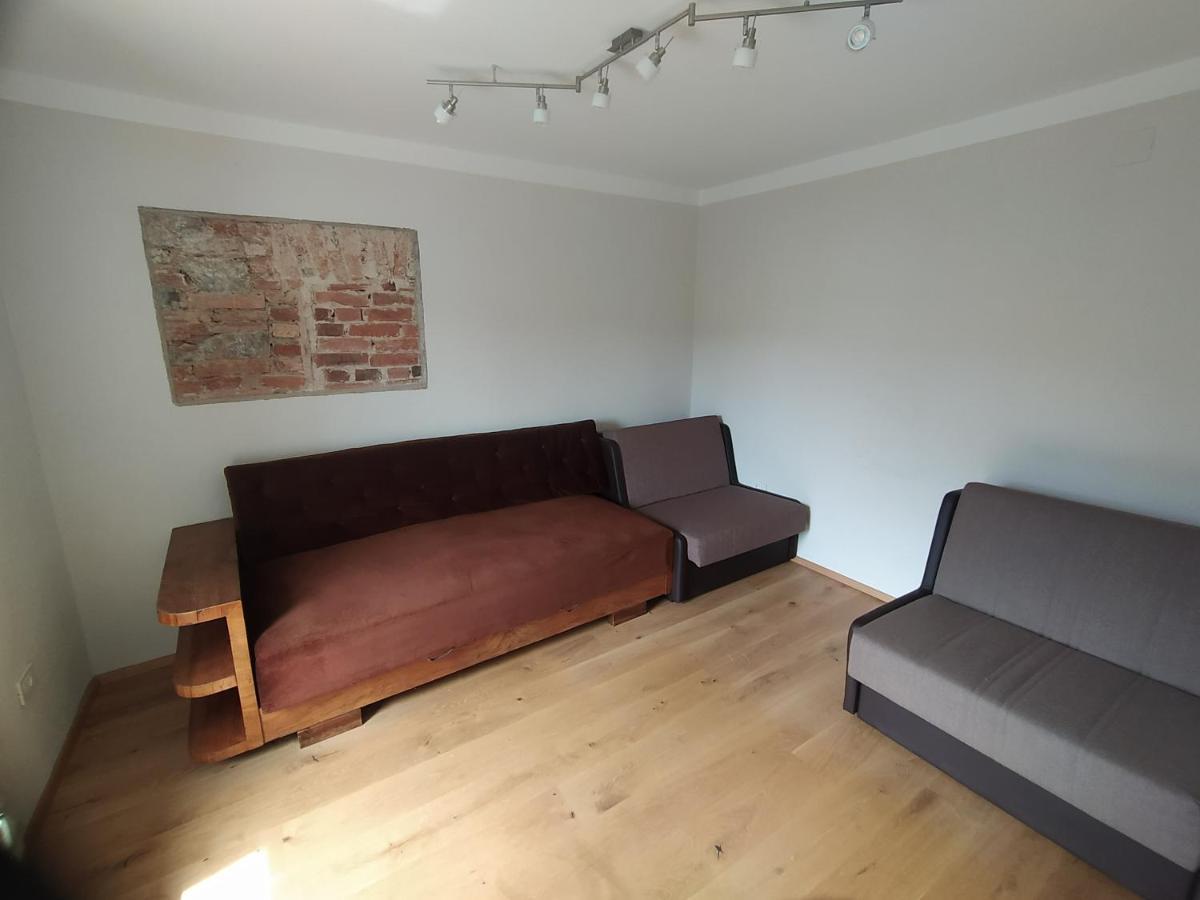 Apartmaji Maln ドレーニスケ・トプリーツェ エクステリア 写真