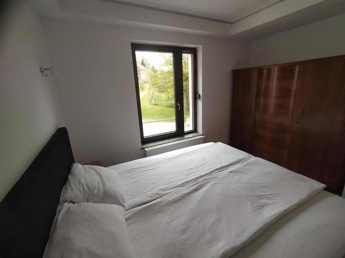 Apartmaji Maln ドレーニスケ・トプリーツェ エクステリア 写真