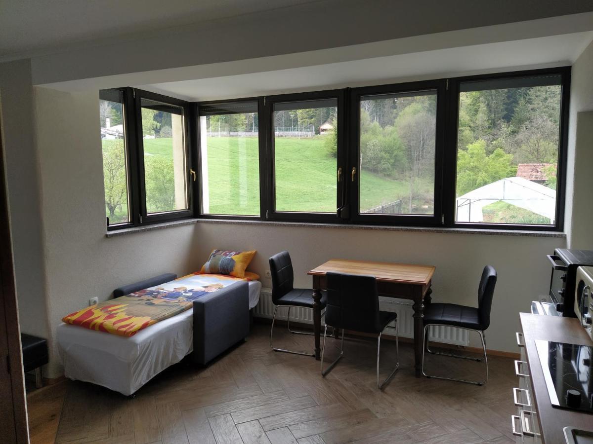 Apartmaji Maln ドレーニスケ・トプリーツェ エクステリア 写真